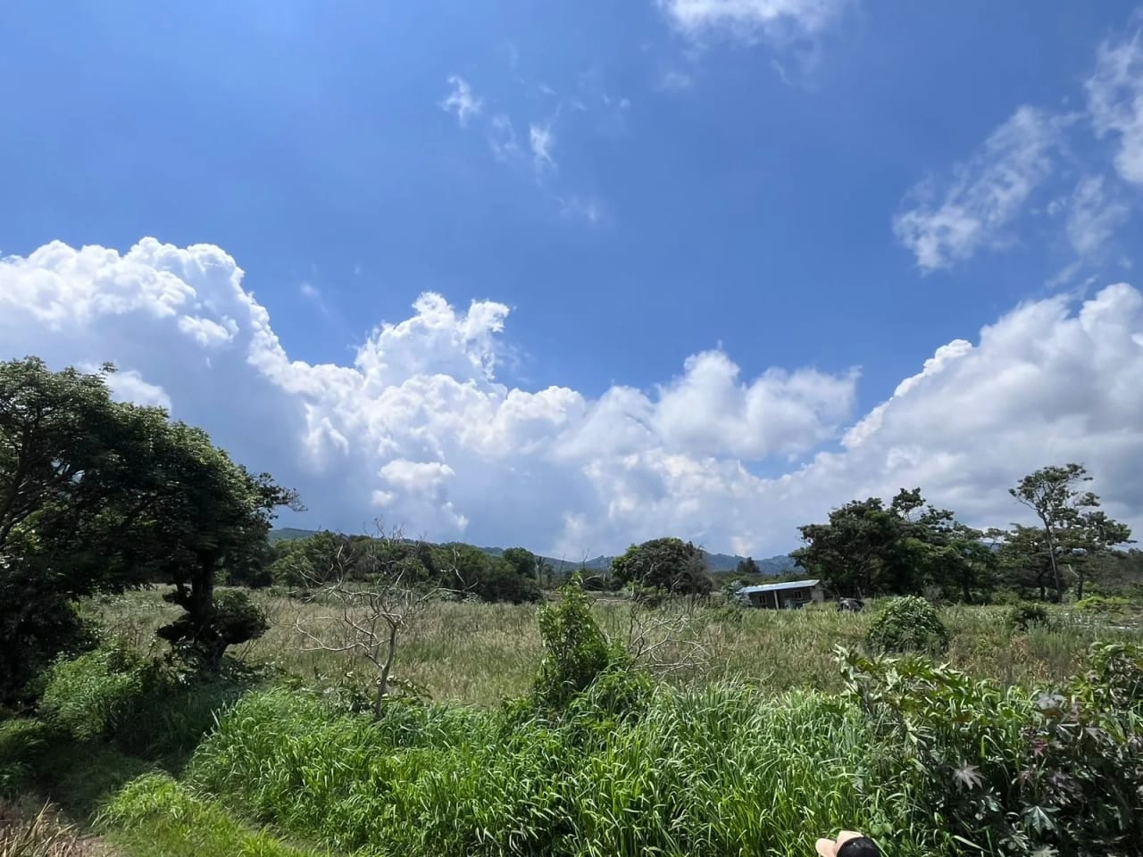 TERRENOS EN VENTA ALDEA LOS LLANOS VILLA CANALES — foto 1 de 9