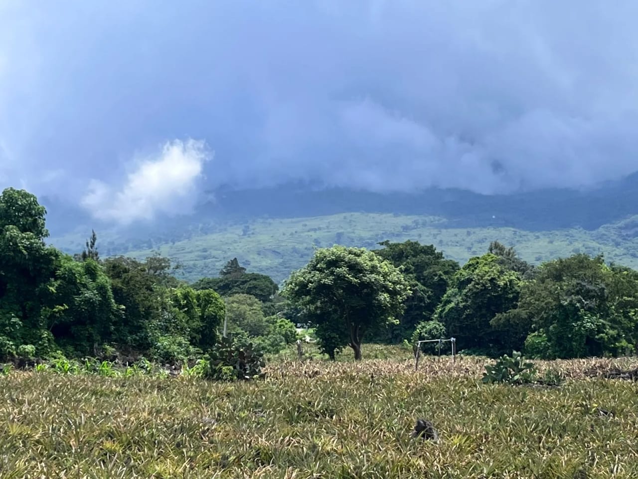 TERRENOS EN VENTA ALDEA LOS LLANOS VILLA CANALES — foto 2 de 9