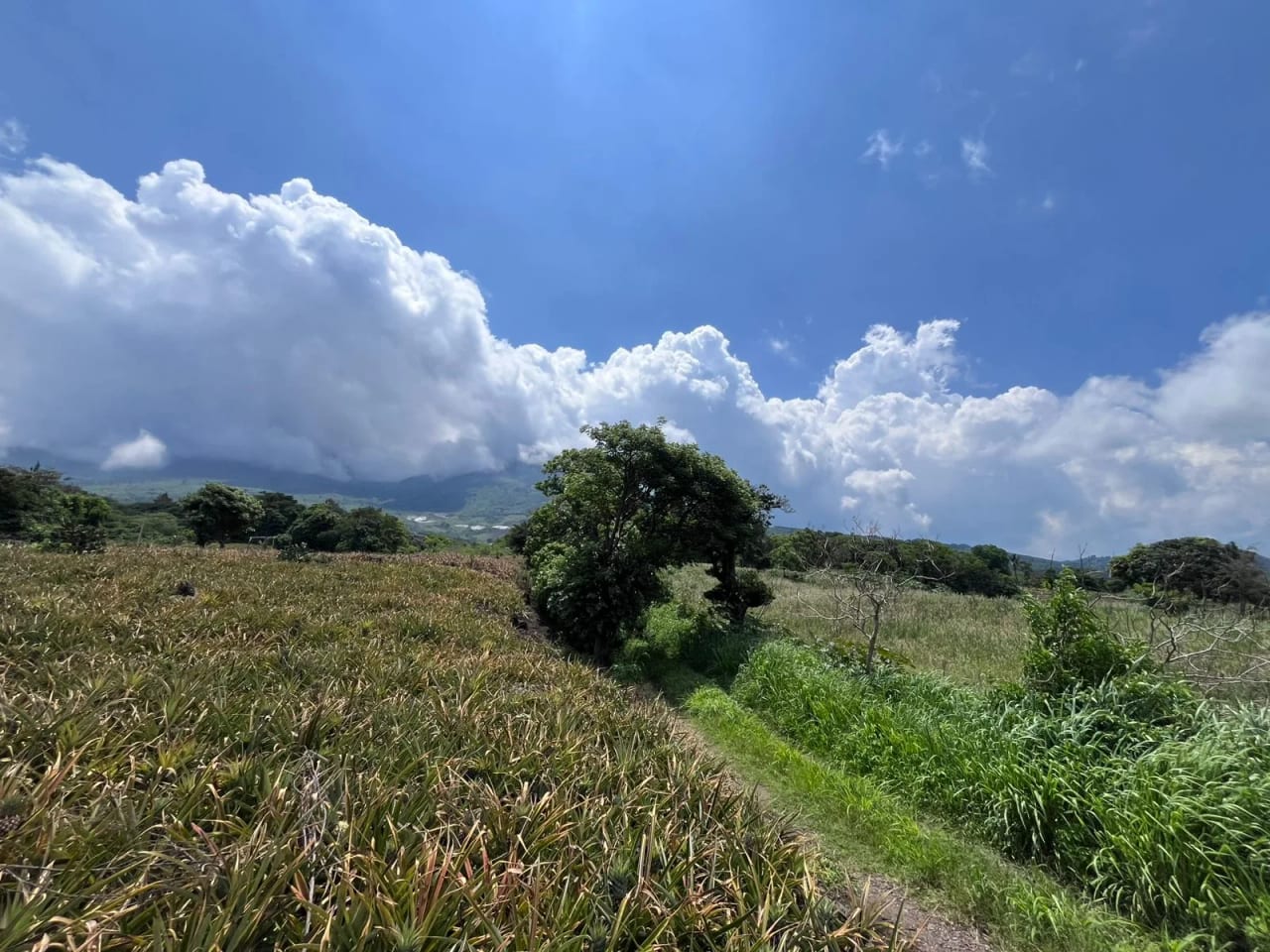 TERRENOS EN VENTA ALDEA LOS LLANOS VILLA CANALES — foto 3 de 9