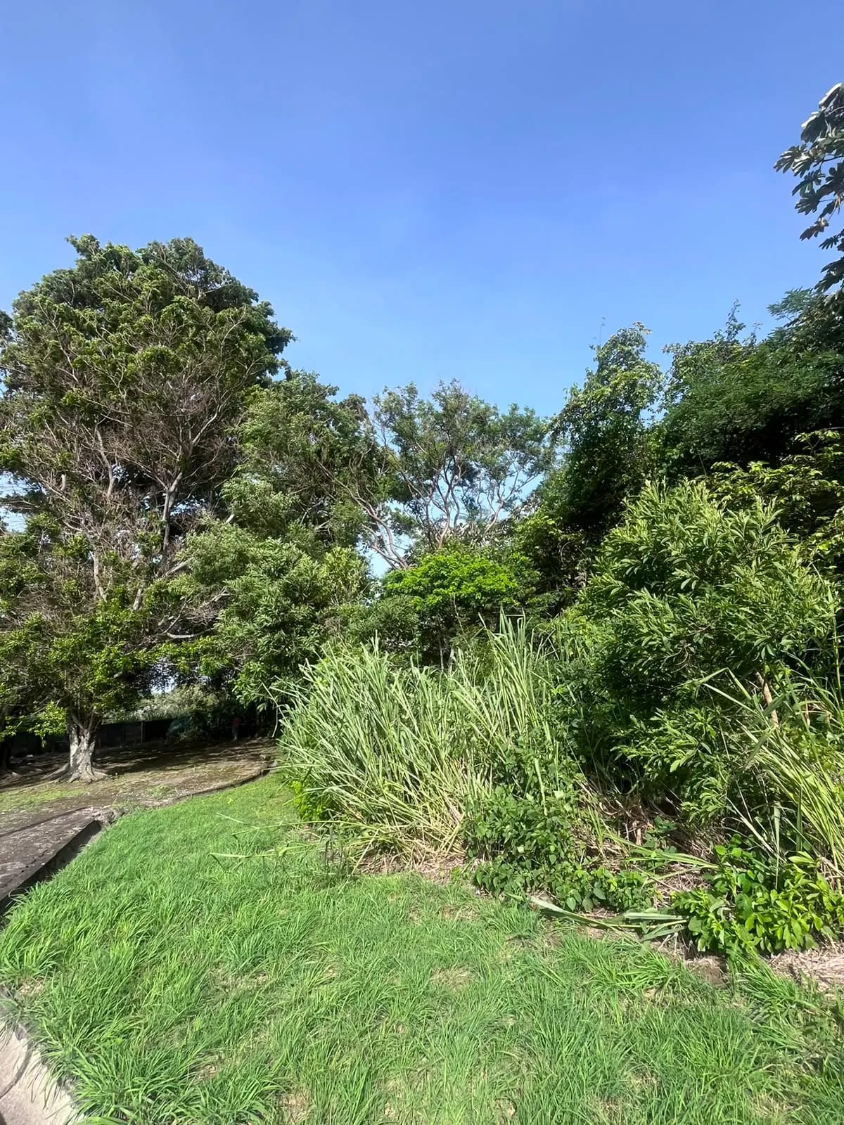 Terrenos en Venta Ecoaventura Escuintla — foto 5 de 17