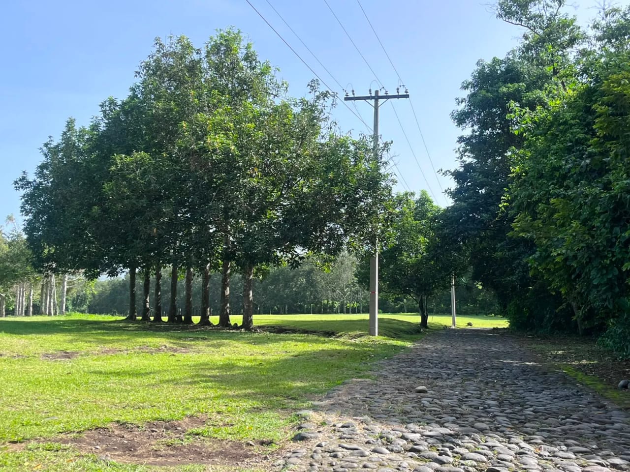 Terrenos en Venta Ecoaventura Escuintla — foto 10 de 17