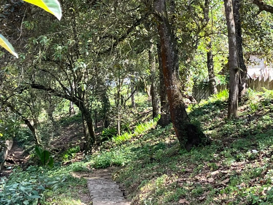 CASA DE CAMPO EN VENTA MIXCO CERCA DE SAN LUCAS — foto 3 de 15