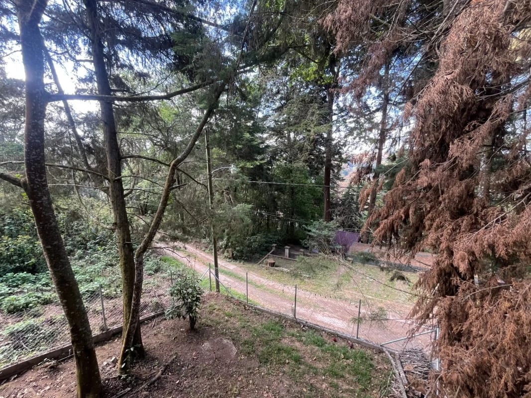 CABAÑA EN VENTA EL MANZANILLO MIXCO — foto 3 de 13